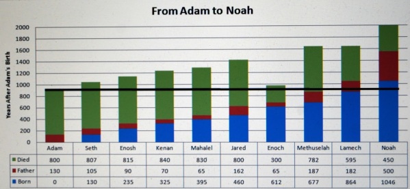From Adam to Noah