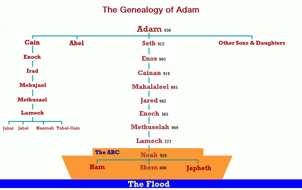 geneology_adam